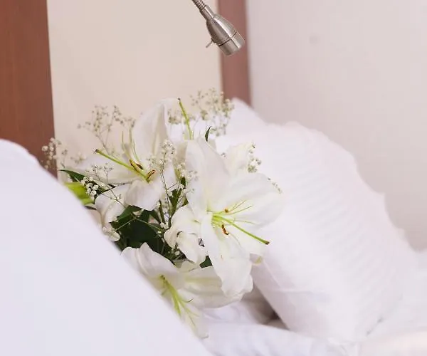 The Coach 이스탄불