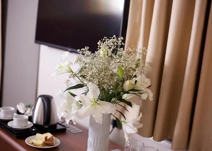 The Coach 이스탄불