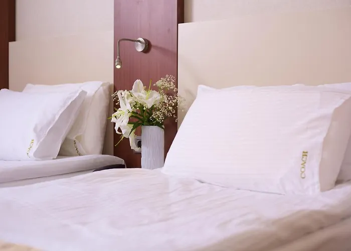 The Coach 이스탄불