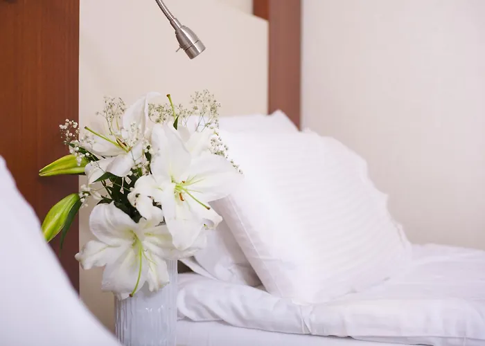 The Coach Hotel Provincia di Istanbul